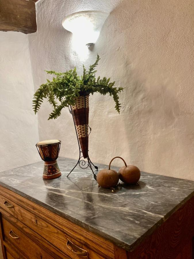 Andrea'S Nido Daire Castel del Piano  Dış mekan fotoğraf